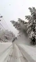 Kar Yağışı Sonucu Abant Yolu Tıkandı