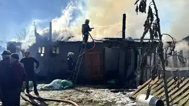 Bolu'da Ahır Yangını: 3 Hayvan Hayatını Kaybetti