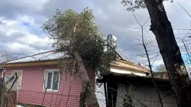 Yaşlı Adam Çatıdan Düştü, Hayatını Kaybetti