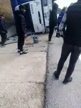 Bolu'da Tavuk Kamyonu Kazası: Yaralı ve Yüzlerce Telef Tavuk