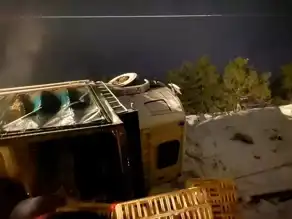 Bolu'da Tavuk Yüklü Kamyon Devrildi!