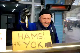 Bolu'da Hamsi Yok, Fiyatlar Tırmanıyor!