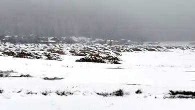 Bolu'nun Yükseklerinde Kar Yağıyor!