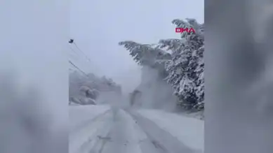 Kar Yağışı Yola Devrilen Ağacı Getirdi: Bolu Yolu Kapandı!