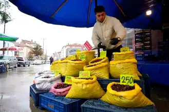 Bolu'da Kestane Fiyatları Tavan Yaptı!
