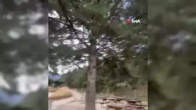 Kuvvetli Rüzgarın Bolu'da Yıkıcı Etkisi