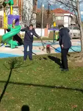 Kent Parkında Yılan Paniği! İtfaiye Ekipleri Müdahale Etti