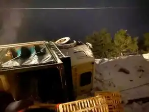 Bolu'da Tavuk Kamyonu Kazası: Yaralı Sürücü, Yüzlerce Telef Tavuk