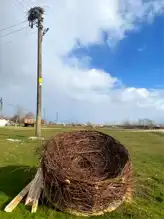 Bolu'da Yaban Hayvanları Kurtarıldı!