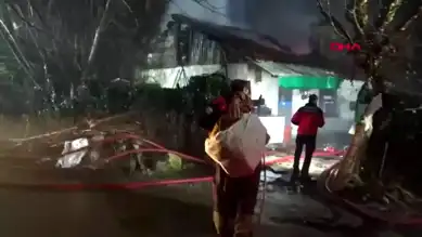 Bolu'da Ev Yangını: 4 Büyükbaş Hayvan Öldü