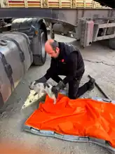 Düzce'de Tırda Sıkışan Kedi Kurtarıldı!