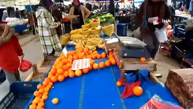 Bolu'da Takdir Belgesi Meyve Getiriyor!