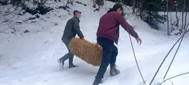 Mengen'de Yaban Hayvanları Kışa Hazırlanıyor