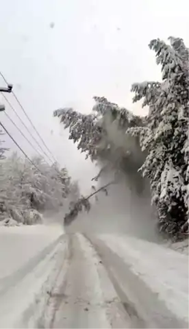 Kar Yağışı Sonucu Abant Yolu Tıkandı