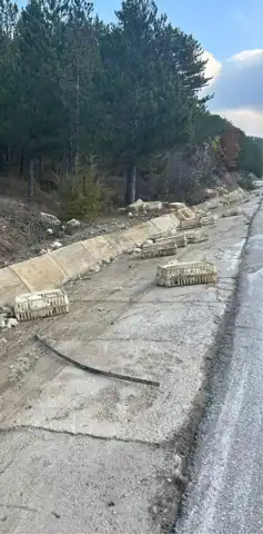 Bolu'da Kamyon Kazası: Sürücü Yaralandı