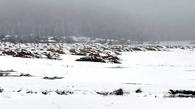 Bolu'nun Yükseklerinde Kar Yağıyor!